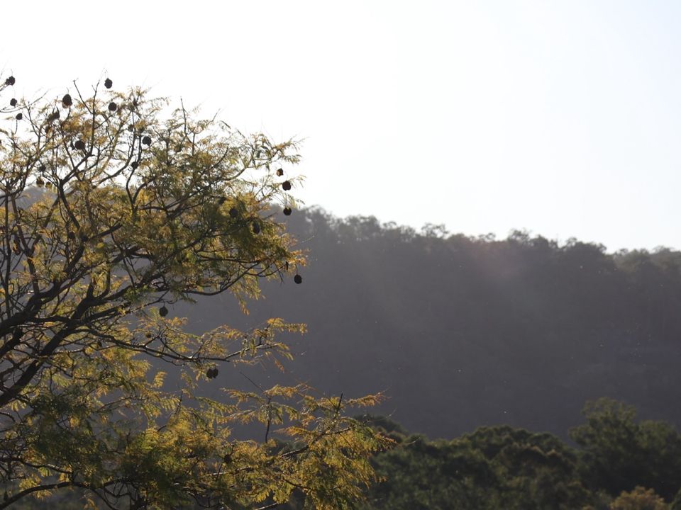 Story image 23